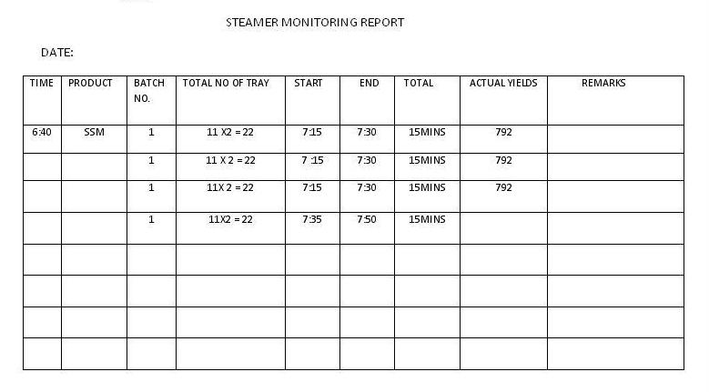 Steamer Monitoring Report (sample)